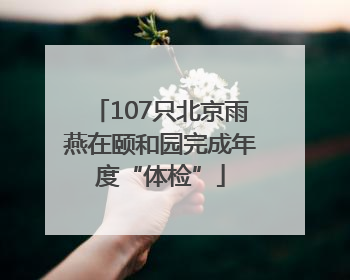 107只北京雨燕在颐和园完成年度“体检”